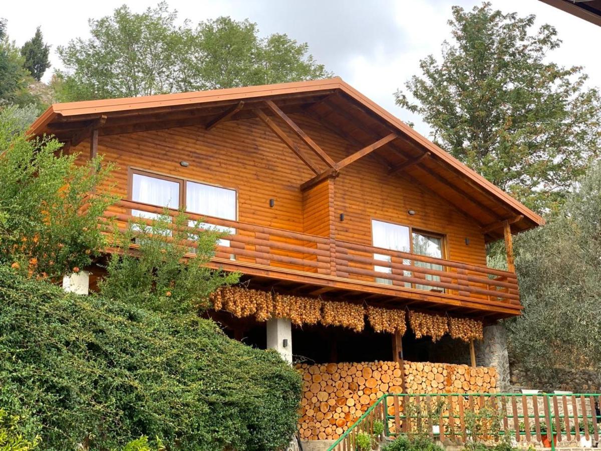 Wooden House 호텔 Shkodër 외부 사진